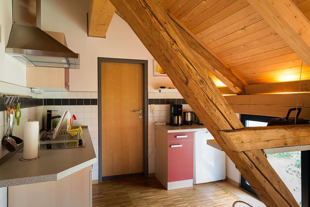 Alte Scheune Rietzschelhof Muglitztal Exterior photo